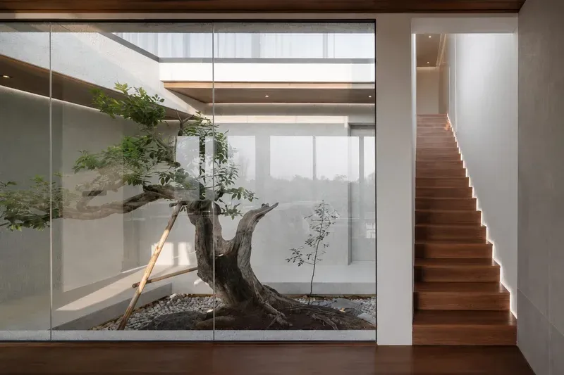 Accueil du site EZAM BATI RENOV avec patio vitré, arbre central et escalier en bois